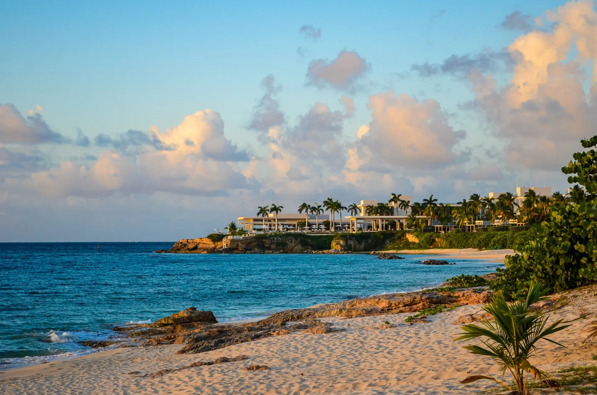 Anguilla cover