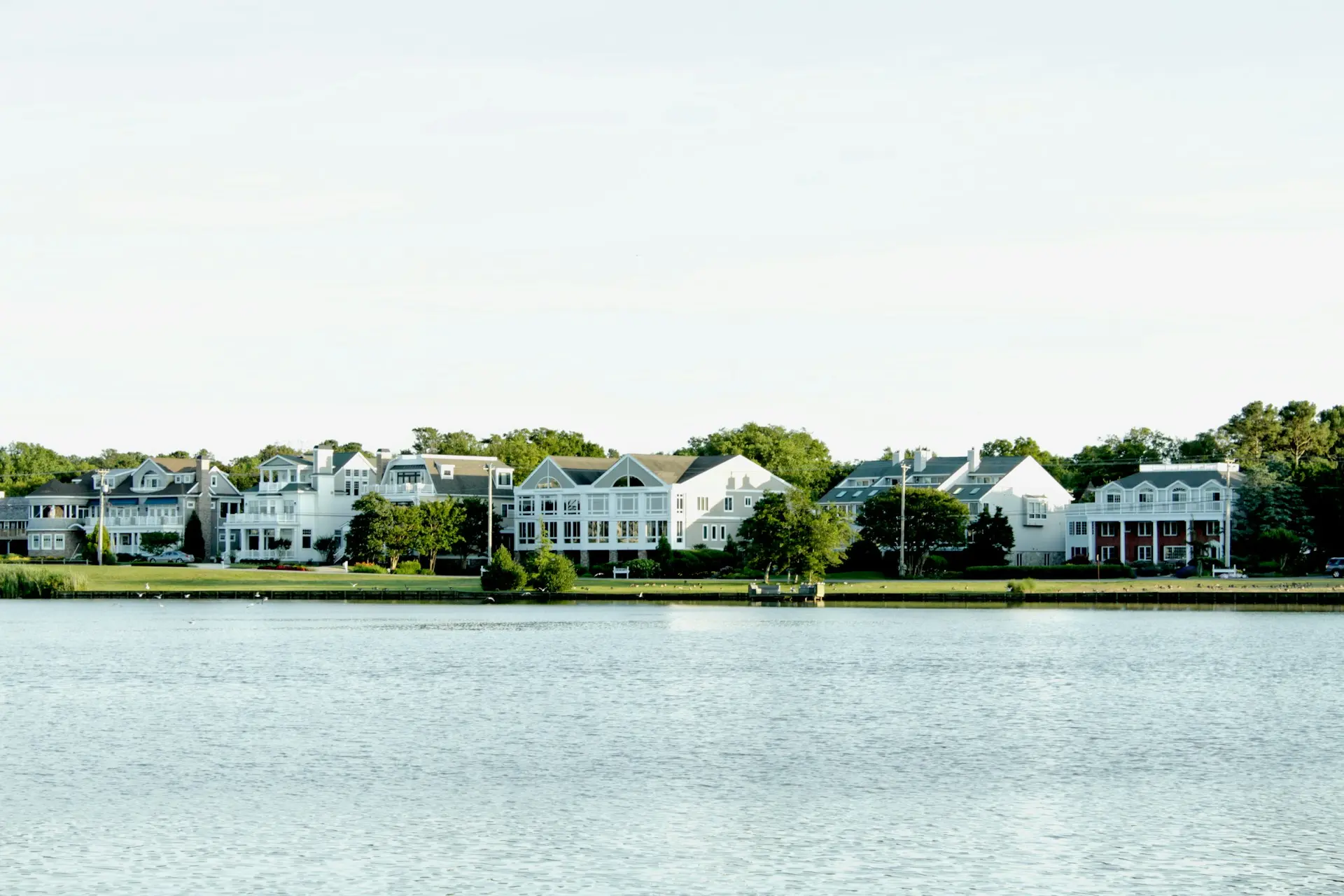 Delaware cover
