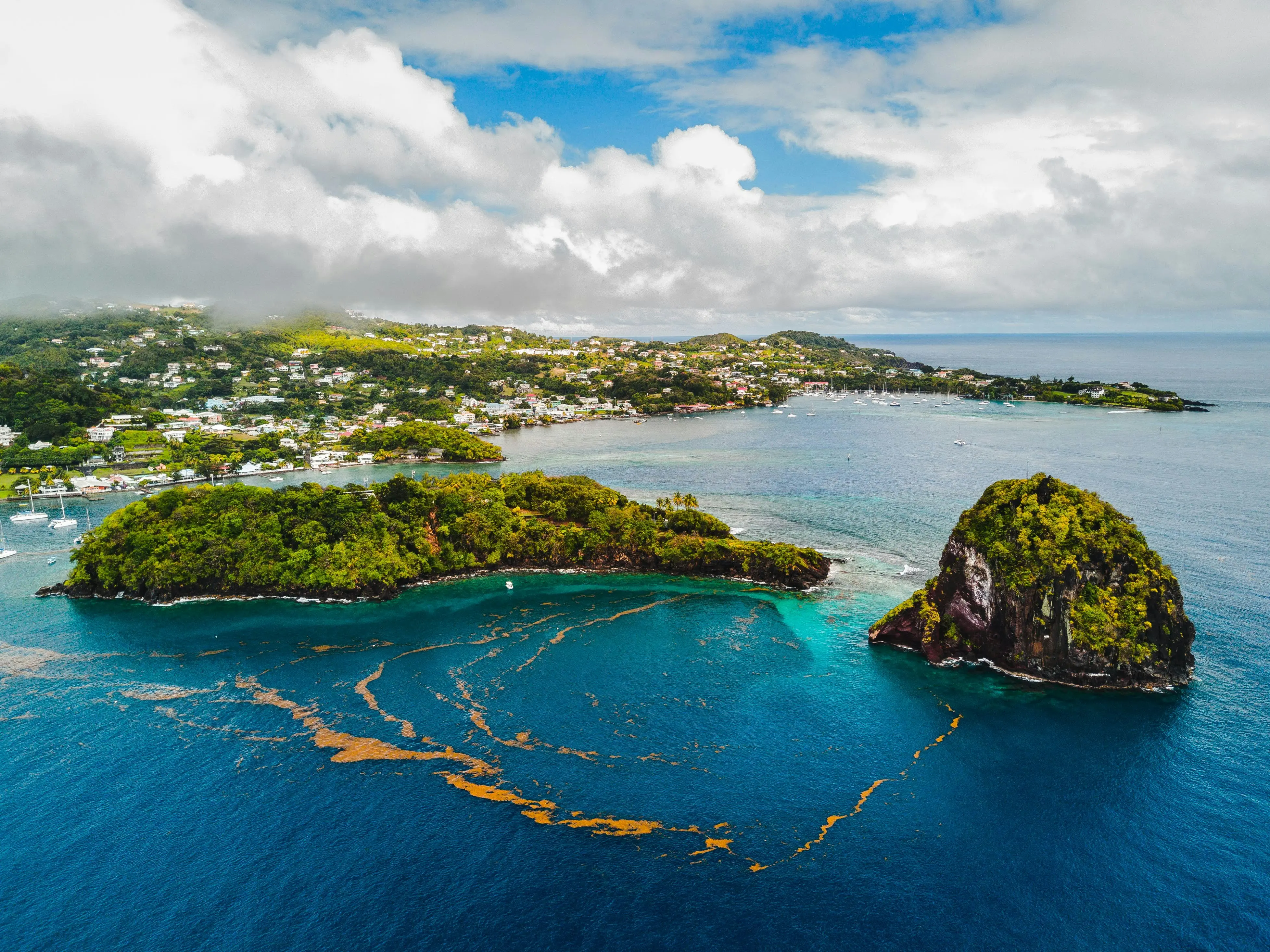 Saint Vincent & The Grenadines cover